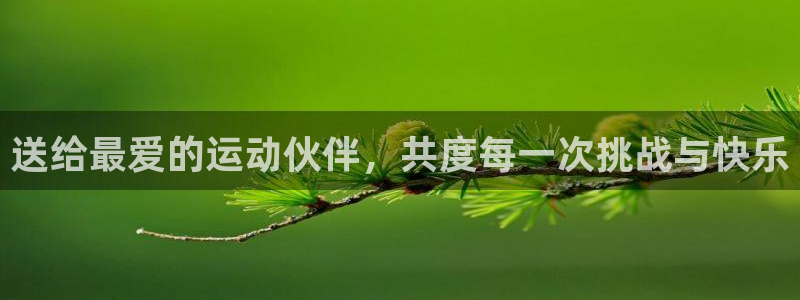 凯捷体育招商电话号码查询：送给最爱的运动伙伴，共度每