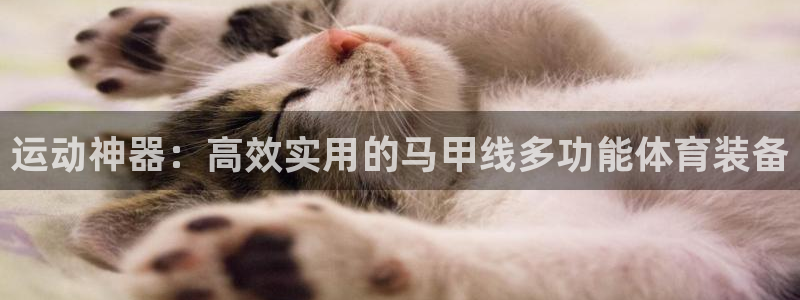 凯捷体育注册：运动神器：高效实用的马甲线多功能体育装