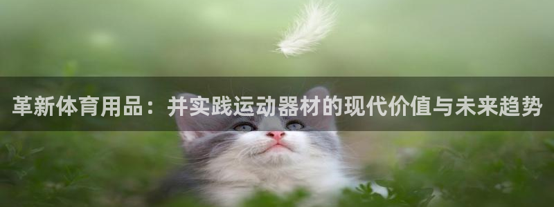 凯捷体育娱乐首页网站大全：革新体育用品：并实践运动器