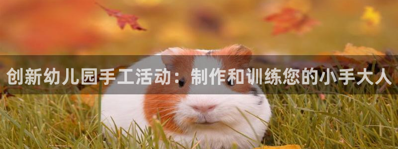 凯捷体育官方客服电话：创新幼儿园手工活动：制作和训练