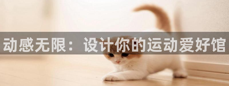 凯捷体育娱乐是那个系列的台子：动感无限：设计你的运动