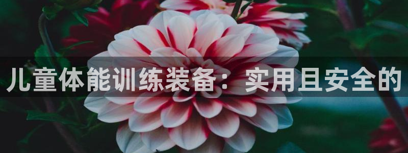 凯捷体育招商电话是多少：儿童体能训练装备：实用且安全