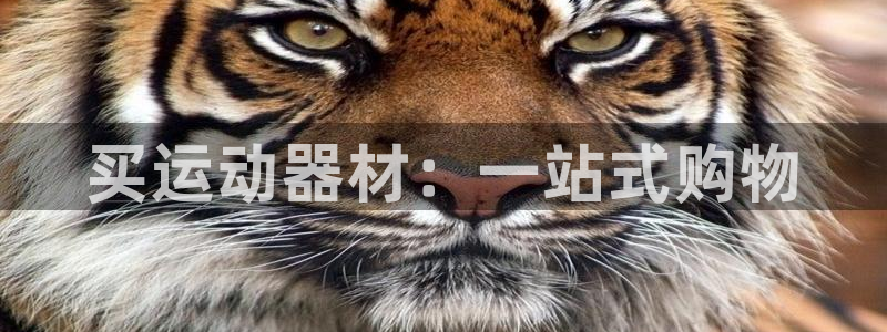 凯捷体育注册：买运动器材：一站式购物