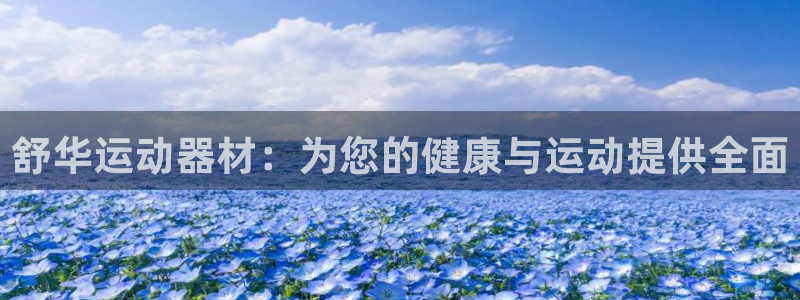 凯捷体育平台注册流程图：舒华运动器材：为您的健康与运动提供全