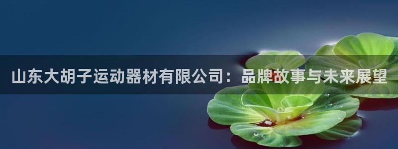 凯捷体育娱乐是那个系列的台子：山东大胡子运动器材有限公司：品