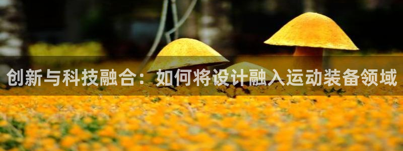 凯捷体育招商电话号码是多少：创新与科技融合：如何将设计融入运