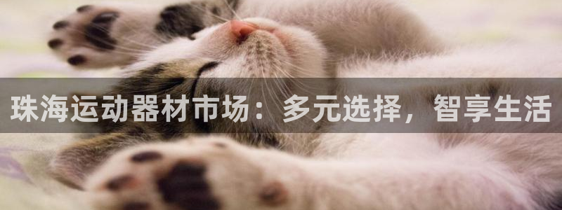 凯捷体育平台注册要钱吗安全吗