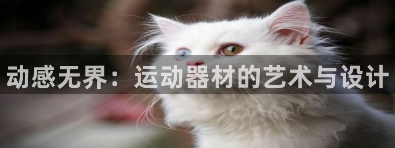 凯捷体育平台注册要钱吗安全吗