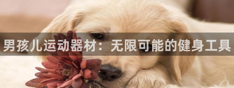 凯捷体育娱乐代理怎么样：男孩儿运动器材：无限可能的健身工具