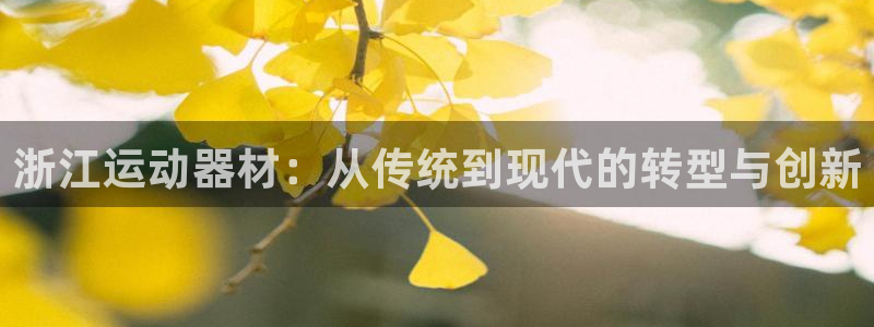 凯捷体育集团官网网址：浙江运动器材：从传统到现代的转型与创新