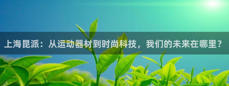 凯捷体育平台注册要钱吗安全吗