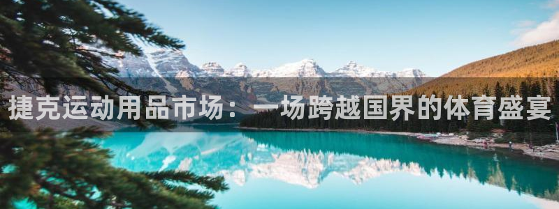 凯捷体育注册：捷克运动用品市场：一场跨越国界的体育盛宴
