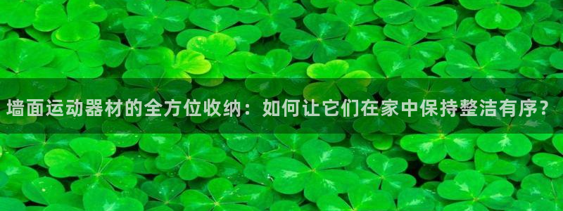 海南凯捷体育:墙面运动器材的全方位收纳:如何让它们在家中保持