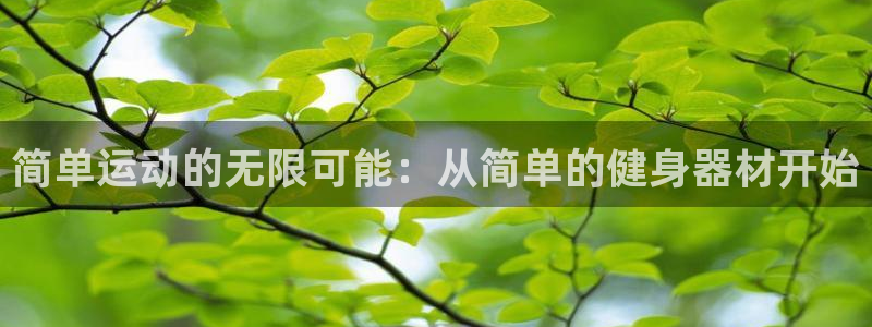 凯捷体育平台注册要钱吗：简单运动的无限可能：从简单的健身器材