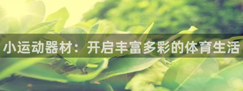 凯捷体育娱乐平台：小运动器材：开启丰富多彩的体育生活